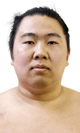 Portrait of the sumo wrestler