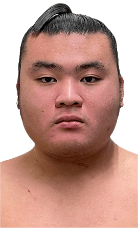 Portrait of the sumo wrestler