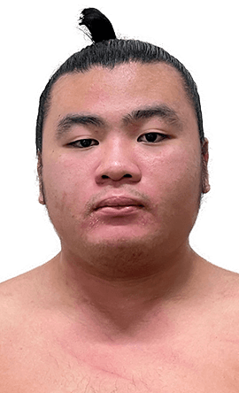 Portrait of the sumo wrestler