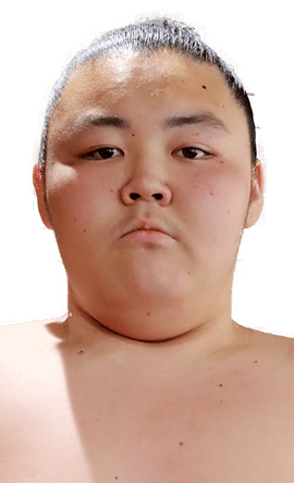 Portrait of the sumo wrestler