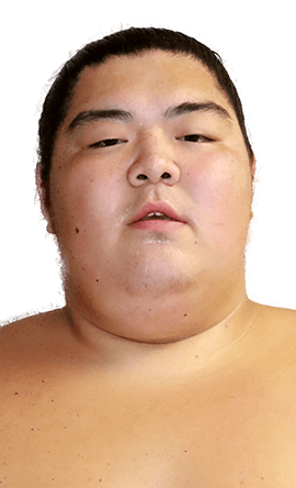 Portrait of the sumo wrestler