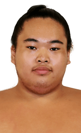 Portrait of the sumo wrestler