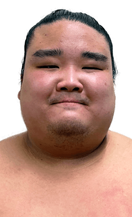 Portrait of the sumo wrestler