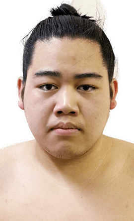 Portrait of the sumo wrestler