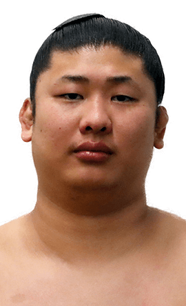 Portrait of the sumo wrestler