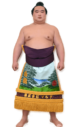 Portrait of the sumo wrestler