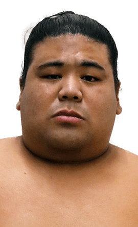 Portrait of the sumo wrestler