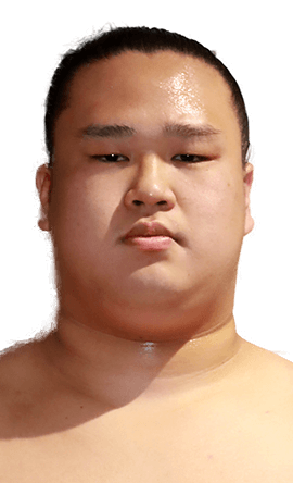 Portrait of the sumo wrestler