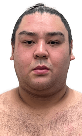 Portrait of the sumo wrestler