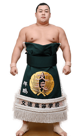 Portrait of the sumo wrestler