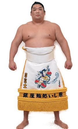 Portrait of the sumo wrestler