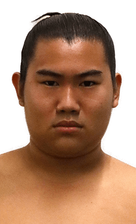 Portrait of the sumo wrestler