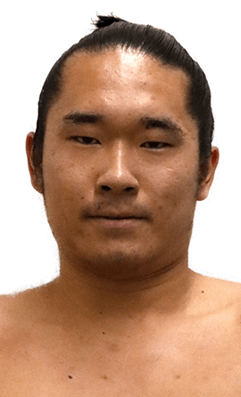 Portrait of the sumo wrestler