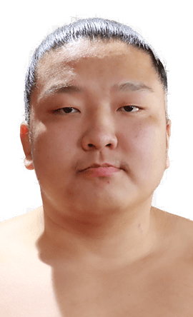 Portrait of the sumo wrestler