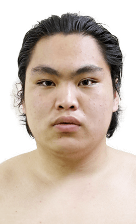 Portrait of the sumo wrestler