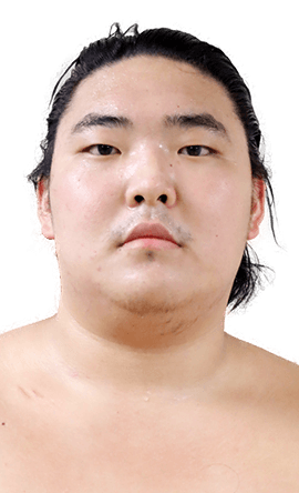 Portrait of the sumo wrestler