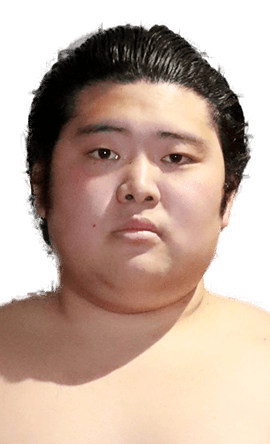 Portrait of the sumo wrestler