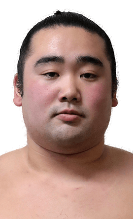 Portrait of the sumo wrestler