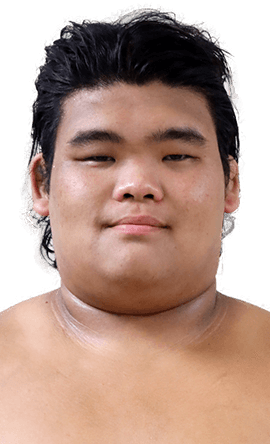 Portrait of the sumo wrestler