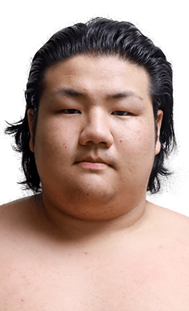 Portrait of the sumo wrestler