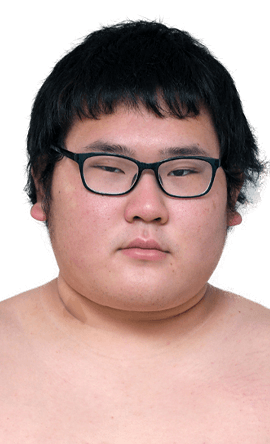 Portrait of the sumo wrestler