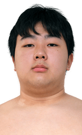 Portrait of the sumo wrestler