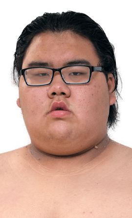 Portrait of the sumo wrestler