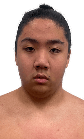 Portrait of the sumo wrestler