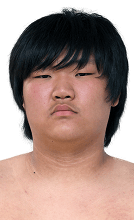 Portrait of the sumo wrestler