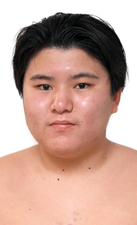 Portrait of the sumo wrestler