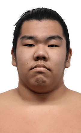 Portrait of the sumo wrestler