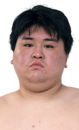 Portrait of the sumo wrestler