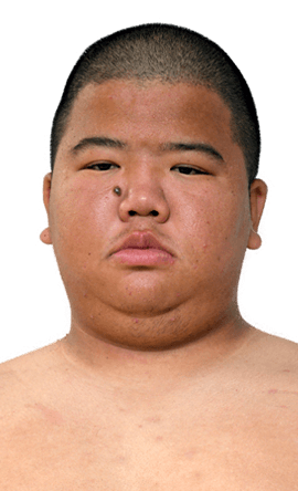 Portrait of the sumo wrestler