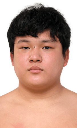 Portrait of the sumo wrestler