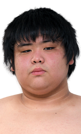 Portrait of the sumo wrestler