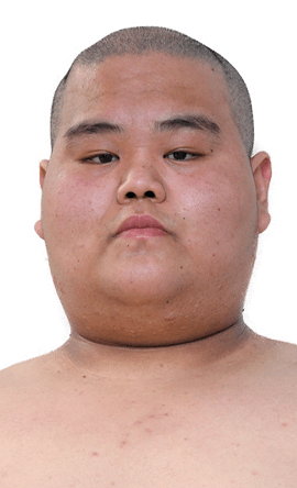 Portrait of the sumo wrestler