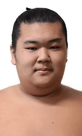 Portrait of the sumo wrestler