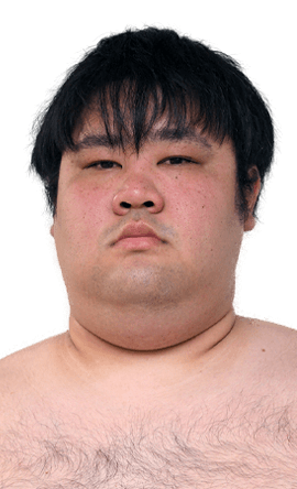 Portrait of the sumo wrestler