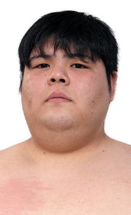 Portrait of the sumo wrestler