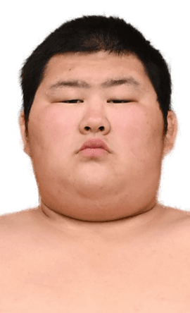 Portrait of the sumo wrestler