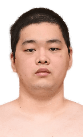 Portrait of the sumo wrestler