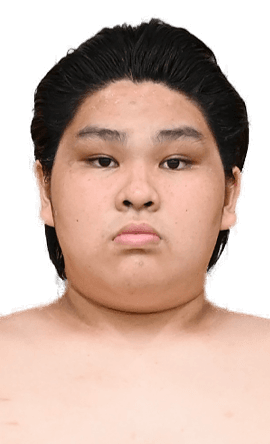 Portrait of the sumo wrestler