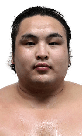 Portrait of the sumo wrestler