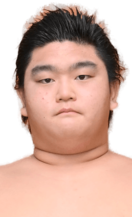 Portrait of the sumo wrestler