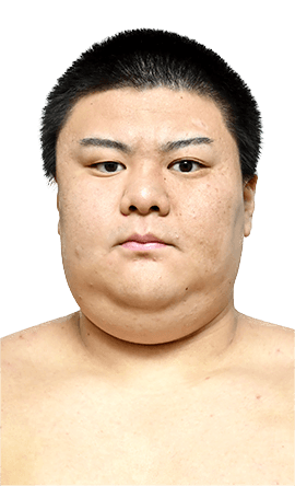 Portrait of the sumo wrestler