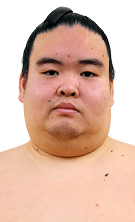 Portrait of the sumo wrestler