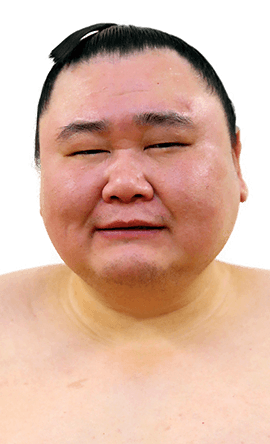 Portrait of the sumo wrestler