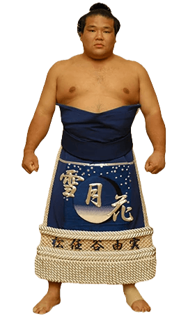 Portrait of the sumo wrestler