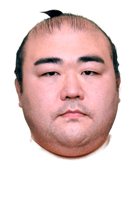 Portrait of the sumo wrestler