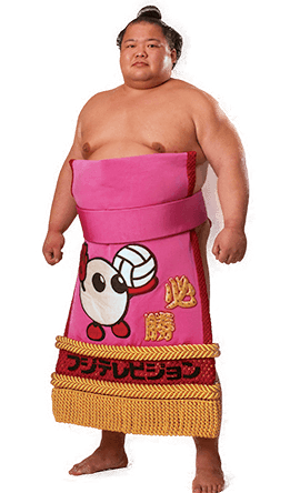 Portrait of the sumo wrestler